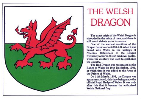 The Welsh Dragon | Welsh dragon, Wales flag, Welsh