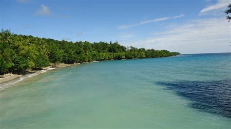 The Indonesian island that could host Elon Musk's new SpaceX site - BBC News