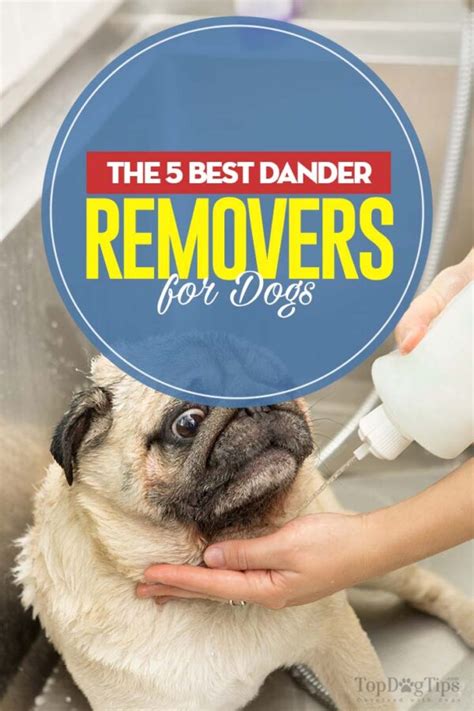 5 Best Dog Dander Treatment Brands in 2020 (To Solve Pet Allergy Issues)