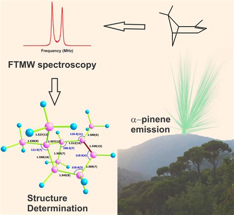 Scientists Determine Structure of Alpha-Pinene, Major Component of ...