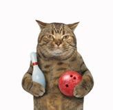 Funny Bowling Stock Photos, Images, & Pictures - 59 Images