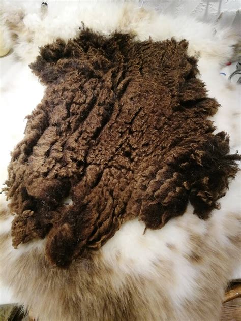 Raw wool washed fleece Ryeland sheep wool sheep fleece wool | Etsy