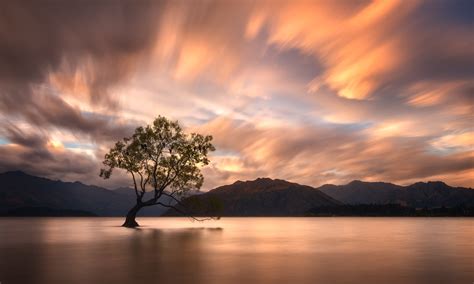 That Wanaka Tree at Sunset | That Wanaka Tree I think this m… | Flickr