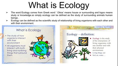 What is ecology and ecosystem, classification of ecosystem - YouTube