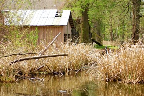 Reelfoot Lake Cabins Stock Photos - Free & Royalty-Free Stock Photos ...