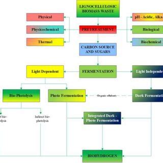 Various pathways/methods of biohydrogen production | Download ...