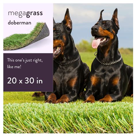 MegaGrass Doberman 20 x 30 in Artificial Grass for Large Pet Dog Potty Indoor/Outoor Area Rug ...