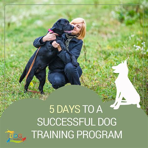 5 Days to a Successful Dog Training Program - The Dog Gurus