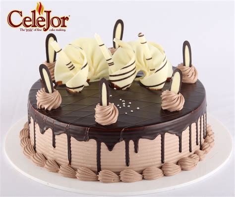 Chocolate Delight Cake in Mumbai | Celejor Cake Shop