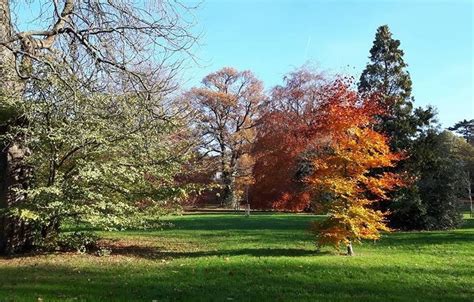 Friends of Headington Hill Park