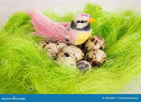 Speckled Bird Sitting In A Nest Basket With Quail Eggs Stock Image ...