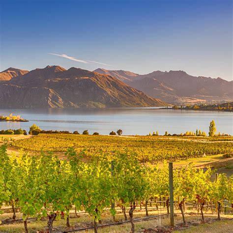 New Zealand Wine Tour | Private Jet Charters | Global Air Charters