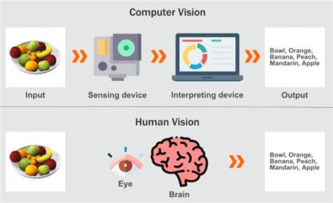 Do computer vision, opencv, machine learning models by Marslan2000 | Fiverr