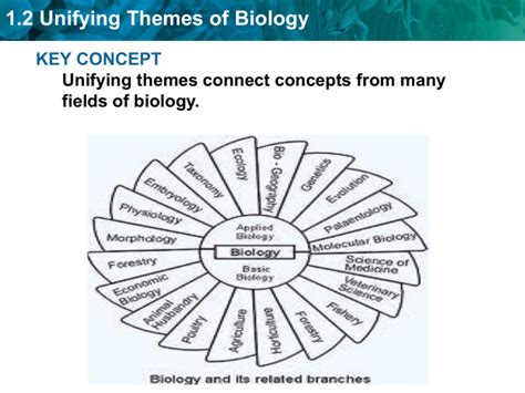 1.2 Unifying Themes of Biology