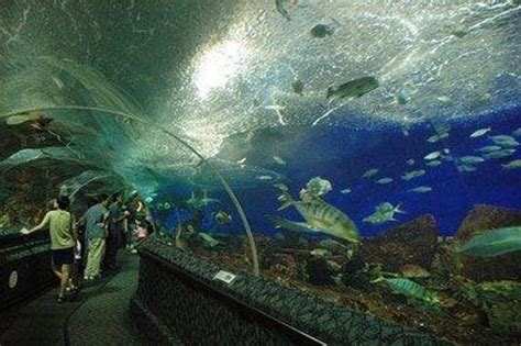 Tours & Tickets - Underwater World Langkawi - Book Now - Viator