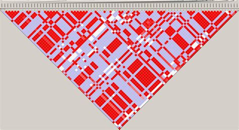 Frontiers | Haplotype Block Analysis Reveals Candidate Genes and QTLs ...