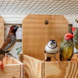 Magnolia Bird Farm - 121 Photos & 149 Reviews - Pet Stores - 8990 Cerritos Ave, Anaheim, CA ...