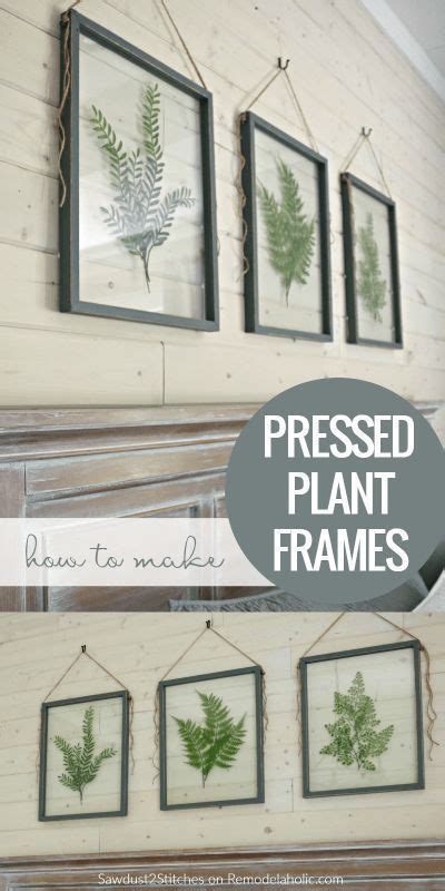 How to Make Your Own DIY Pressed Plant Frame in 2023 | Diy wall decor ...