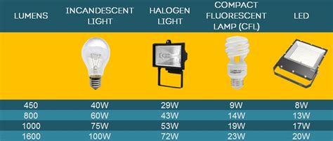 Halogen Light Bulbs Versus Incandescent | Shelly Lighting