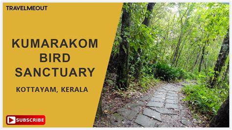 Kumarakom Bird Sanctuary Kottayam - YouTube