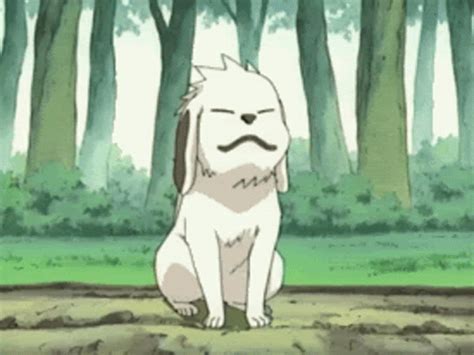 Akamaru GIF - Akamaru - Discover & Share GIFs