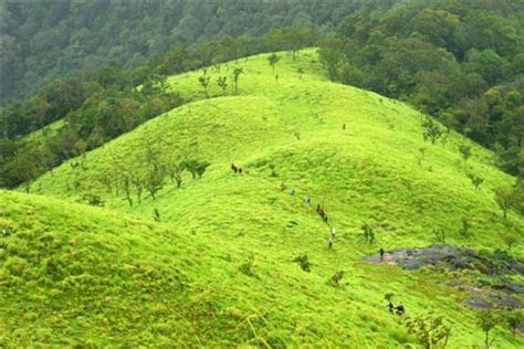 Kudremukh National Park Near Udupi, National Parks in Udupi