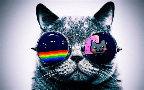 Rainbow Cat Wallpapers - Top Free Rainbow Cat Backgrounds - WallpaperAccess