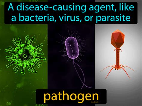 Label The Types Of Pathogens On The Diagram