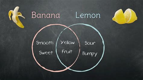 Simple Venn Diagram Examples