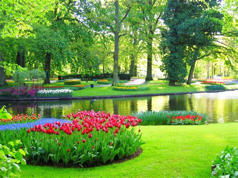 Keukenhof Tulip Gardens & the Tulip Fields in Holland | Gardens of the world, Famous gardens ...