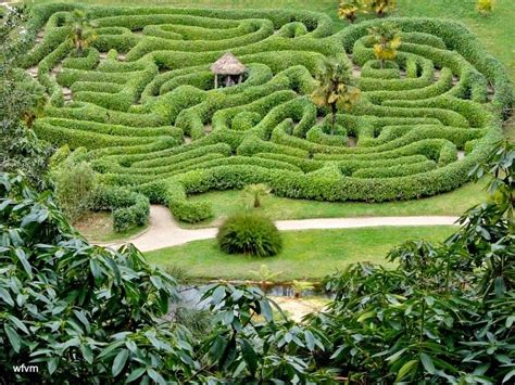 Where Five Valleys Meet: Glendurgan, Cornwall | Amazing gardens, Fractals in nature, Garden art