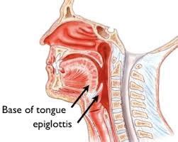 Epiglottis cancer: what is the treatment? | here your doctor