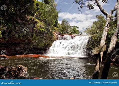 Tropical Paradise Waterfall in Venezuela Stock Photo - Image of plants, america: 38423368