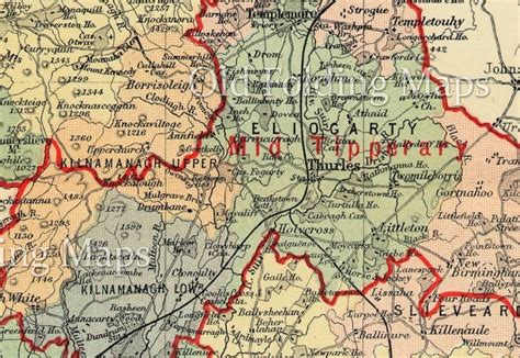 Antique County Map of Tipperary, Ireland circa 1884