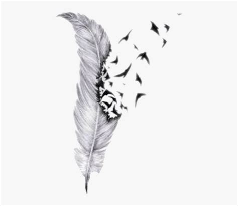 Quill - Feather With Birds Tattoo Design, HD Png Download , Transparent Png Image - PNGitem