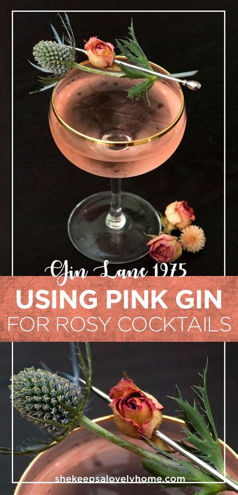 The Pretty Pink Gin Martini – She Keeps a Lovely Home