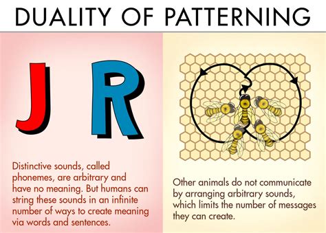 The Difference Between Animal and Human Communication | Owlcation