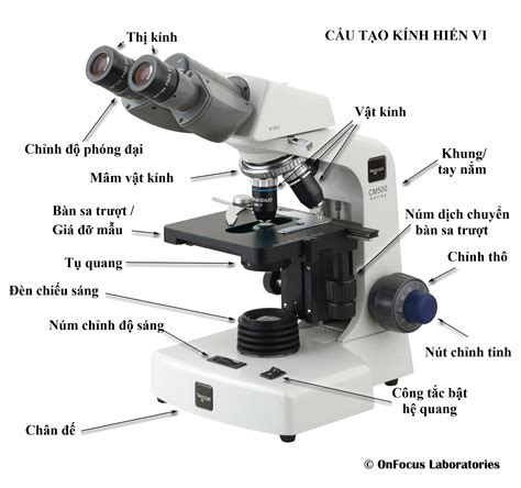 Cấu tạo và cách sử dụng kính hiển vi quang học