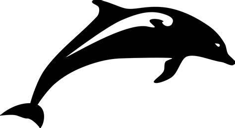 Dolphin Clip art - dolphin png download - 1920*1046 - Free Transparent ...