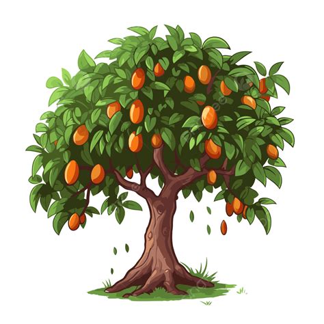 Mango Tree Vector Png Images Mango Tree Mango Clipart Tree Clipa – NBKomputer