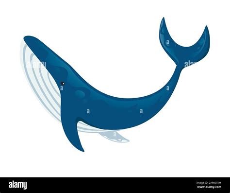 Blue whale Cut Out Stock Images & Pictures - Alamy