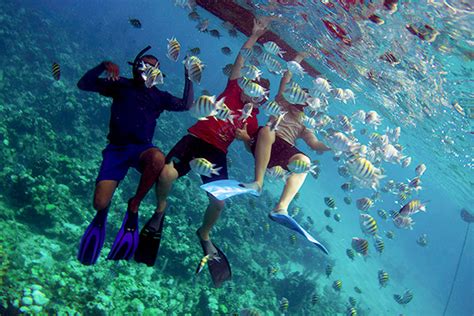 Roatan Snorkeling & West End Excursion - Roatan Collection Excursions