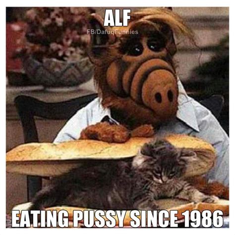 Funny Alf Quotes. QuotesGram