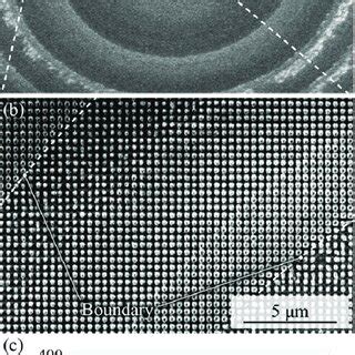 (Color online) Fabrication results of the metalens pattern. (a) An SEM... | Download Scientific ...