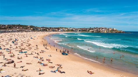 Forget Bondi Beach: Sydneysiders would rather go to McDonald’s | Escape