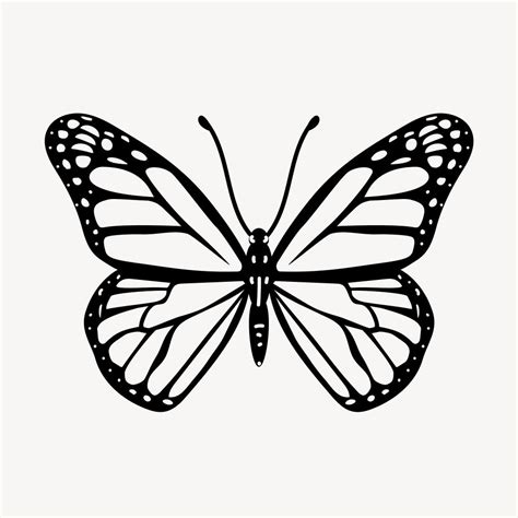 Butterfly Outline Images | Free Photos, PNG Stickers, Wallpapers ...