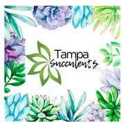 Tampa Casita Home - DIY WORKSHOP by Tampa Succulents & Tampa Cactus in ...
