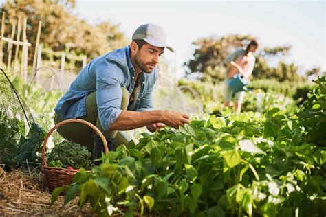 Homesteading Basics: How to Start a Garden | Kellogg Garden Organics™