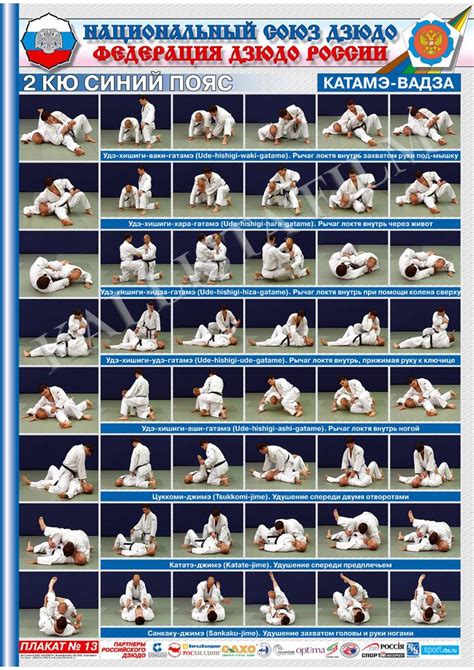 Posters JUDO. Blue belt 1 poster.The technique of judo.KATAME-WAZA. Judo Video, Japanese Jiu ...