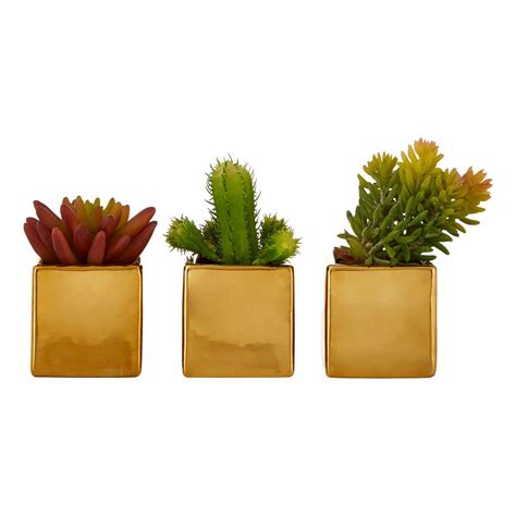 Set of 3 Mini Succulents with Gold Pots - The Home Market